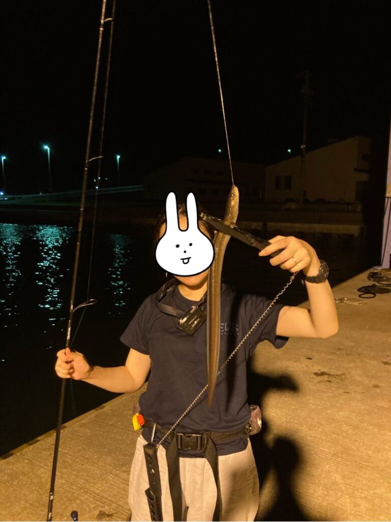 三重県鳥羽市菅島にて、アナゴ釣り。アナゴが釣れました。