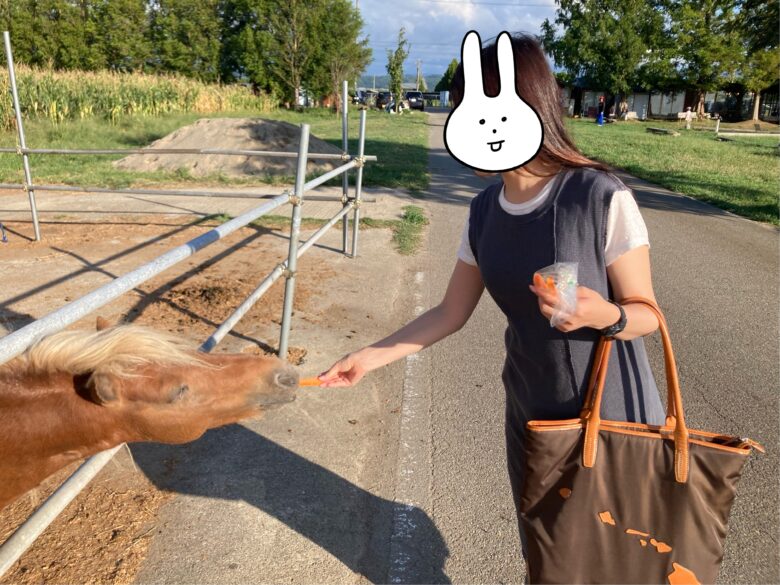 金沢ホリ牧場(夢ミルク館)にてポニーと触れ合い。餌やり体験