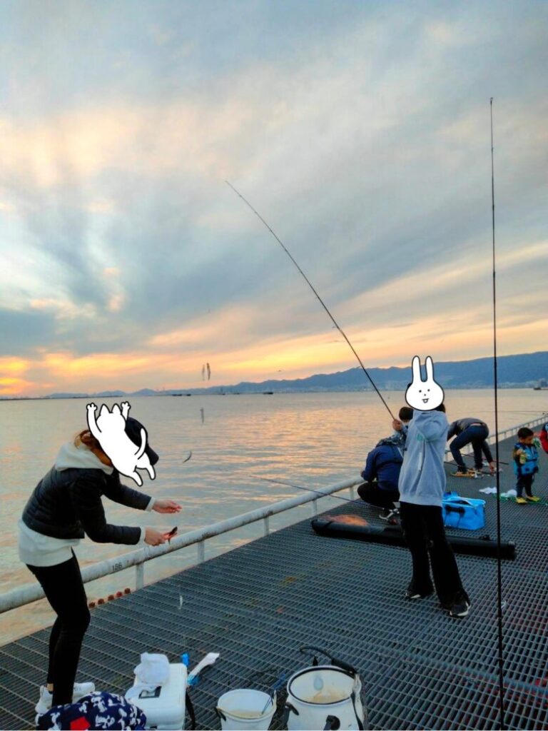 尼崎市立魚つり公園にてサビキ釣りの様子