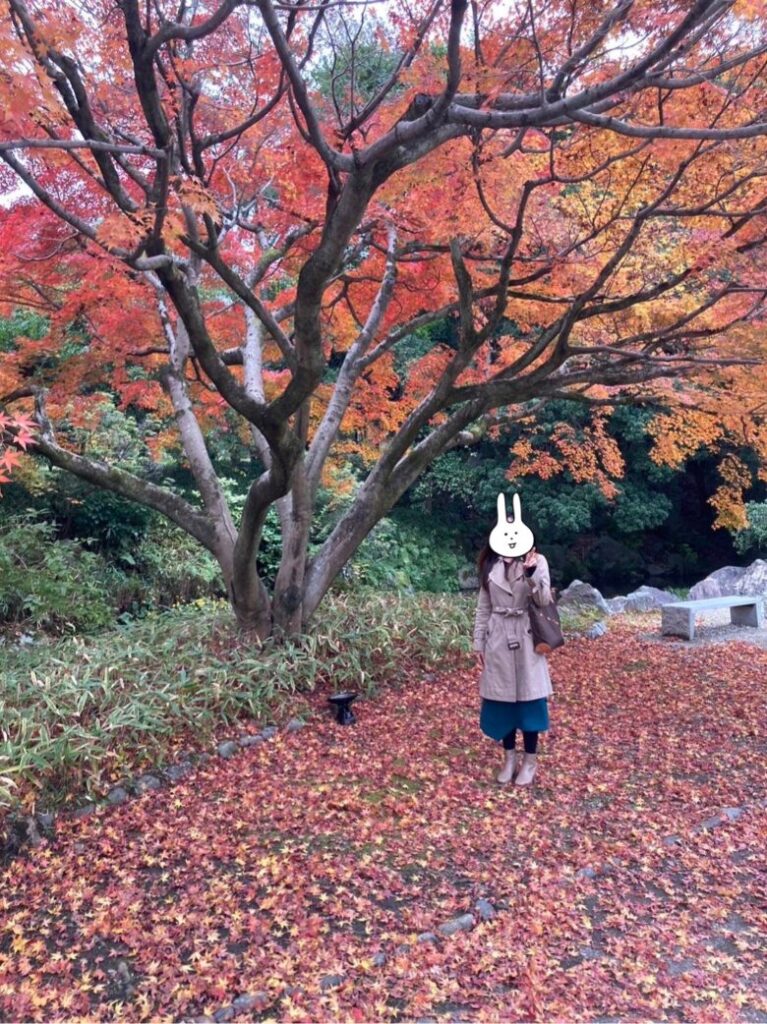 万博記念公園の紅葉　日本庭園