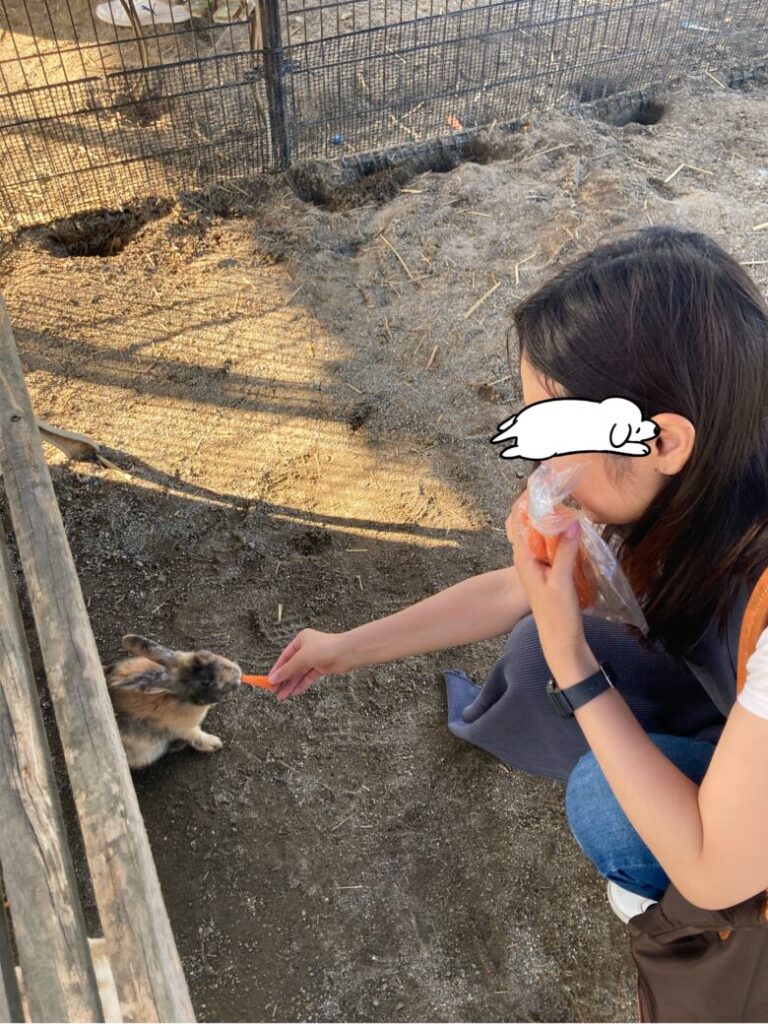 金沢ホリ牧場(夢ミルク館)にてウサギと触れ合い。餌やり体験