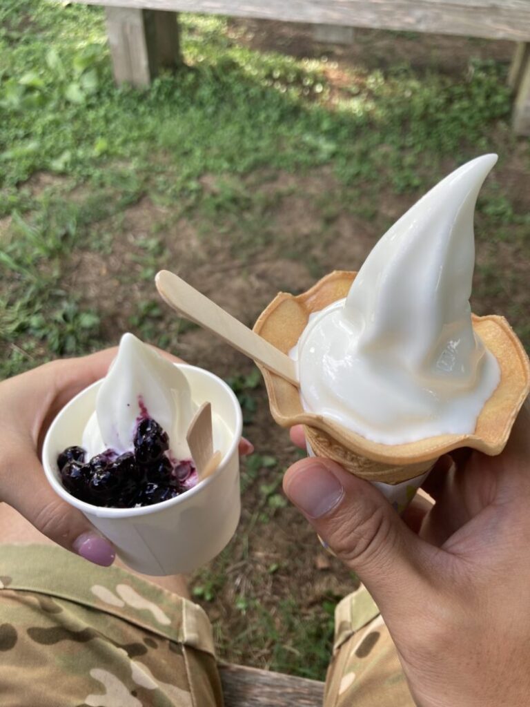 金沢ホリ牧場(夢ミルク館)にてソフトクリームとヨーグルメイトソフトのブルーベリーソースがけを堪能