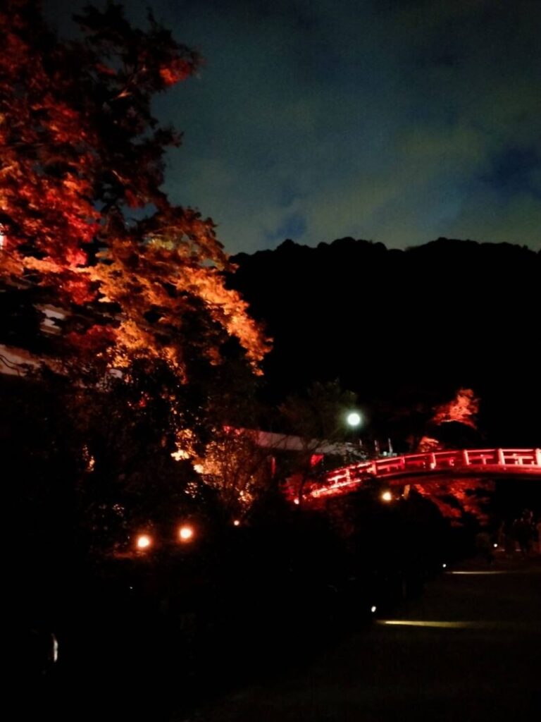 箕面公園の夜の紅葉ライトアップ