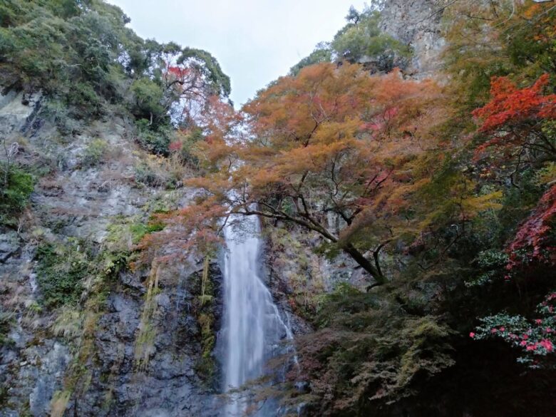 箕面大滝と紅葉の写真
