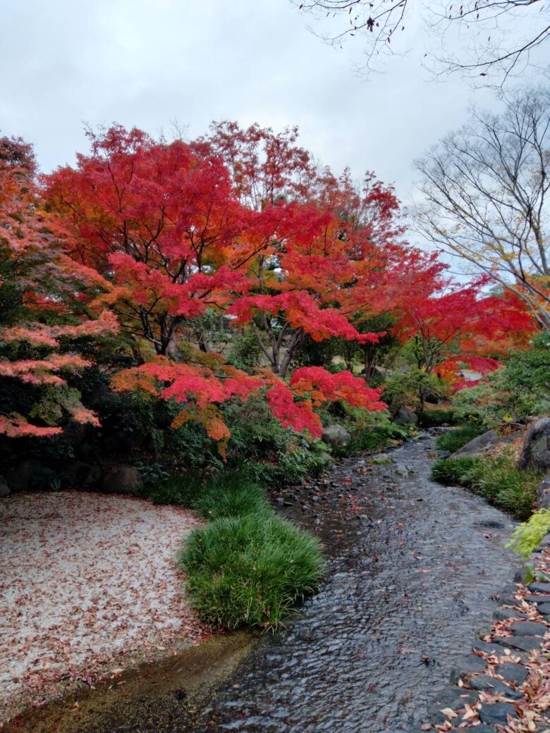 大阪万博記念公園の日本庭園紅葉写真