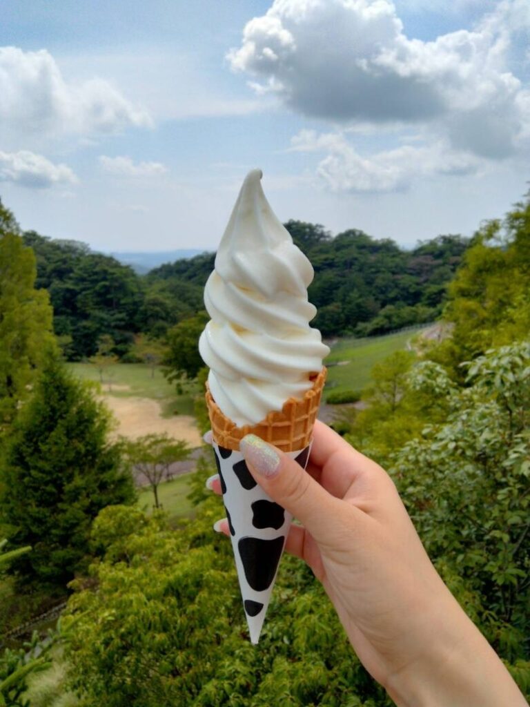 兵庫県神戸市六甲山牧場の濃厚ソフトクリーム