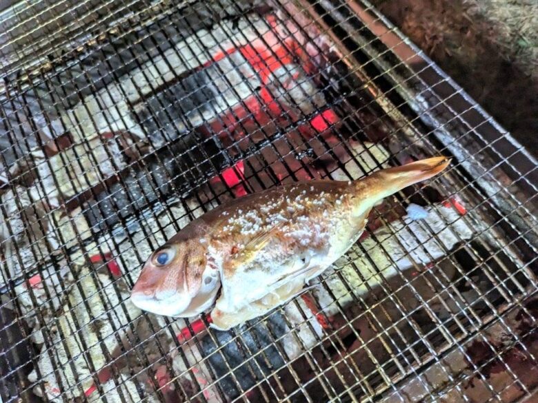 伊毘漁港で釣った鯛は塩焼きに