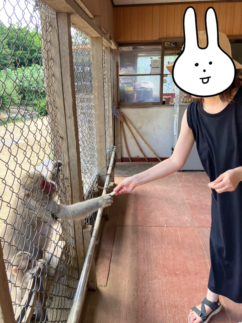 小豆島　銚子渓おさるの国で餌やり