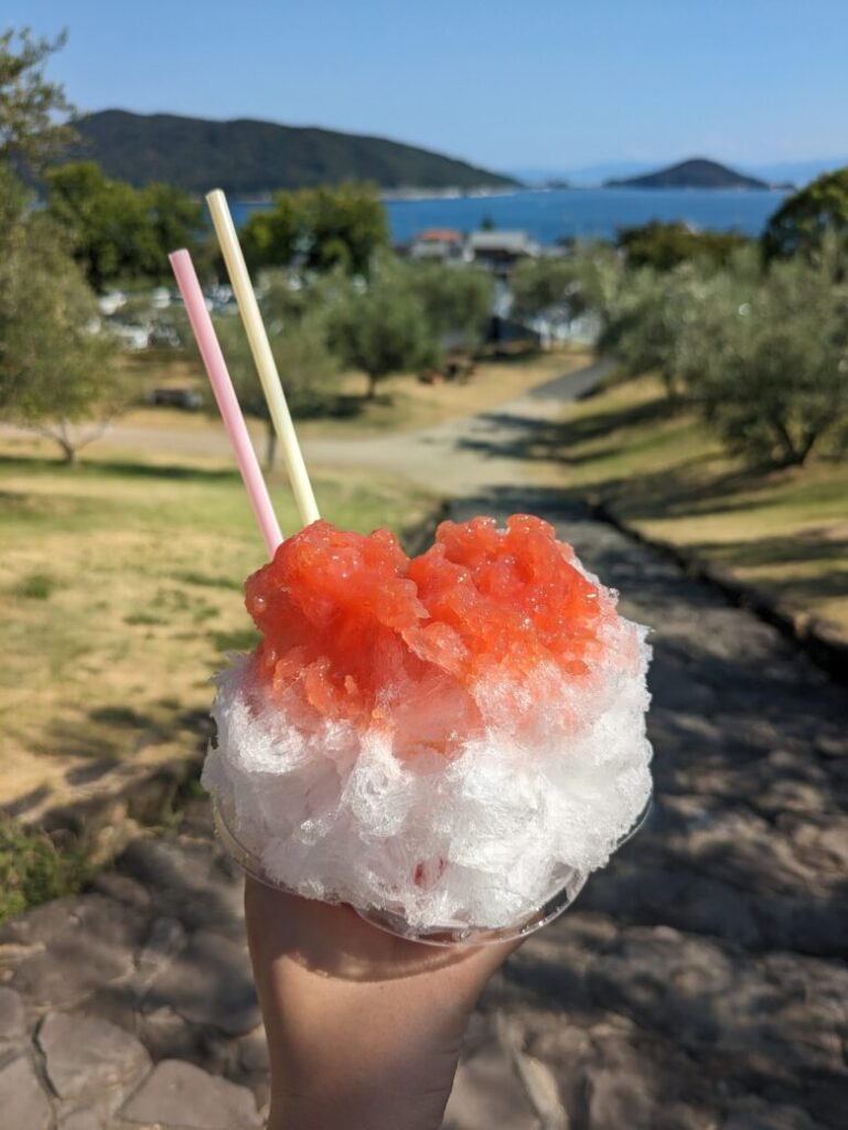 小豆島オリーブ公園 キッチンカーですもものかき氷を食べる