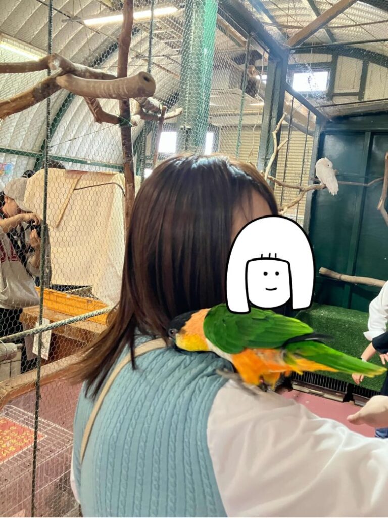 ワールド牧場 鳥 小動物 触れ合い