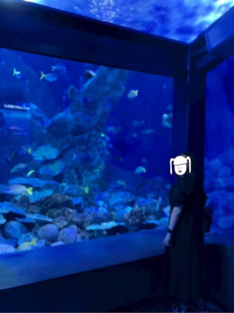 鳥羽水族館 大型水槽前