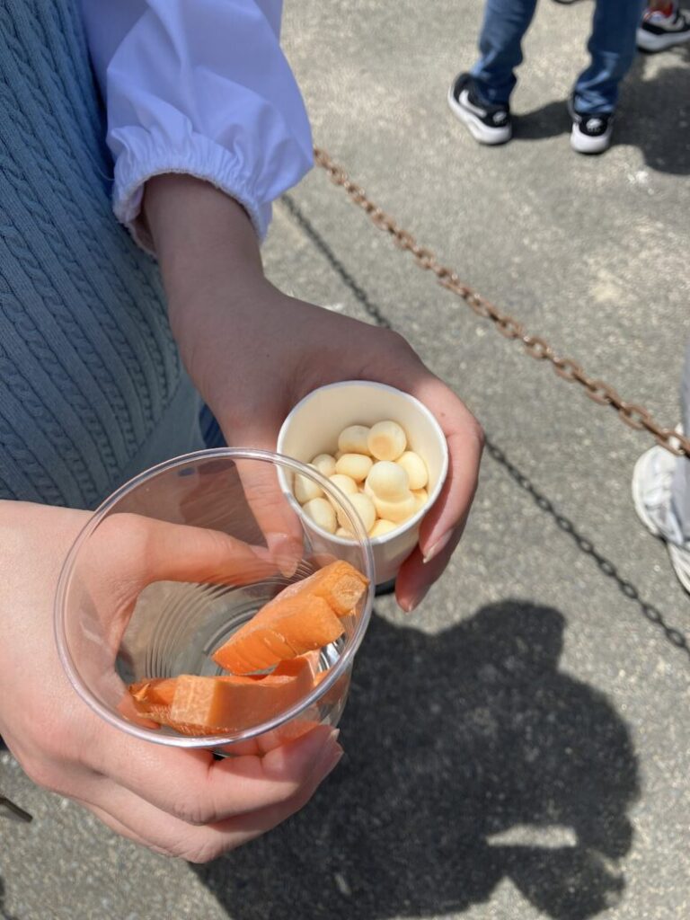 ワールド牧場 餌 ボーロとニンジン