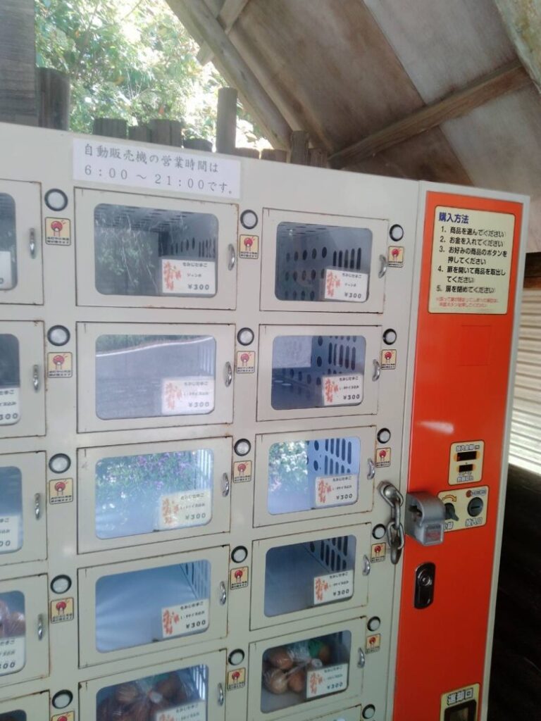 伊賀 山のたまご 自販機