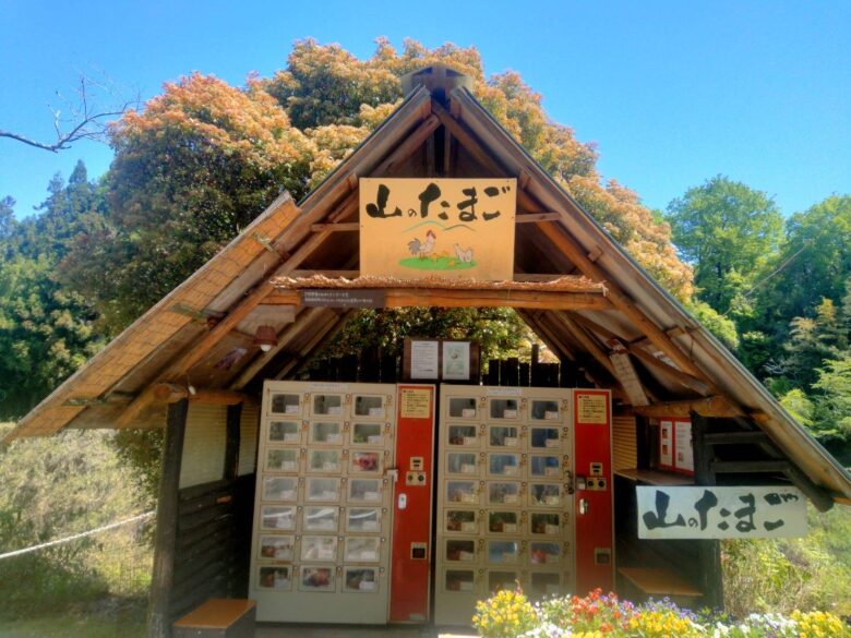 伊賀 山のたまご 販売所
